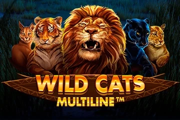 Арт слота Wild Cats Multiline